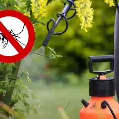Czym opryskiwać komary: najskuteczniejsze środki i sposoby na owady