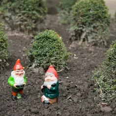 Prosty sposób na urokliwego skrzata do ogrodu bez wydawania fortuny