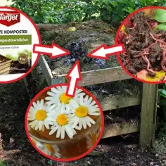 7 skutecznych sposobów jak przyspieszyć rozkład kompostu w ogrodzie