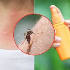 Skuteczne sposoby na komary w ogrodzie. Zaskakujące metody odstraszania