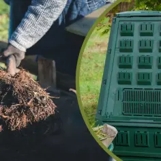 Kompostowanie igliwia - praktyczny poradnik dla zaawansowanych ogrodników