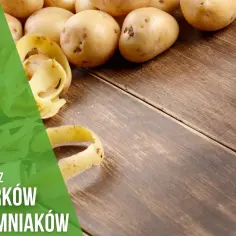 Obierki z ziemniaków na kompost - poznaj zasady bezpiecznego użycia w ogrodzie