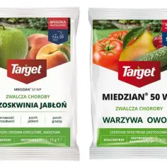 Skuteczne opryskiwanie drzew owocowych miedzianem: terminy i zasady aplikacji