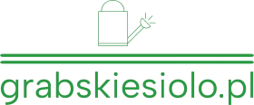 grabskiesiolo.pl